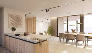 Neubauprojekte Villa Cas Català