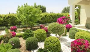 Neubauprojekte Wohnanlage Paphos