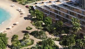 Neubauprojekte Wohnung Palm Jebel Ali