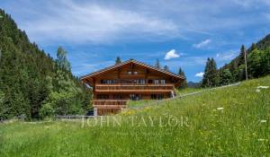 Saisonvermietungen Chalet Gstaad