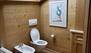 Saisonvermietungen Chalet Gstaad