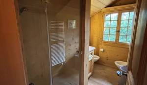 Saisonvermietungen Chalet Gstaad