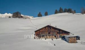Saisonvermietungen Chalet Rougemont