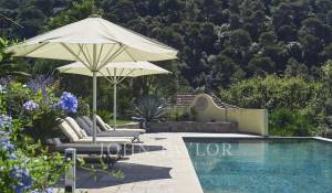 Saisonvermietungen Eigentum Cannes