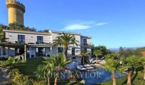 Saisonvermietungen Eigentum Cannes