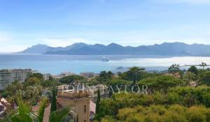 Saisonvermietungen Eigentum Cannes