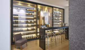 Saisonvermietungen Eigentum Cannes