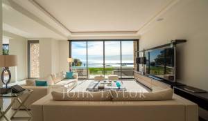 Saisonvermietungen Eigentum Cannes