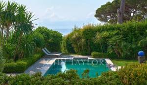 Saisonvermietungen Eigentum Cannes