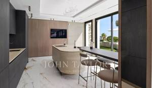 Saisonvermietungen Eigentum Cannes