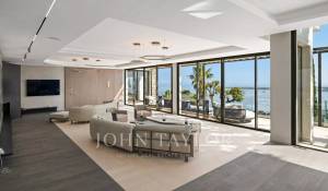 Saisonvermietungen Eigentum Cannes