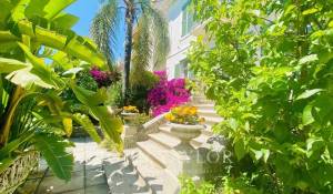 Saisonvermietungen Eigentum Cannes