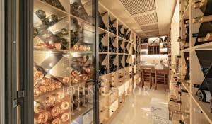 Saisonvermietungen Eigentum Cannes