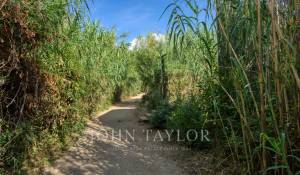 Saisonvermietungen Eigentum Saint-Tropez