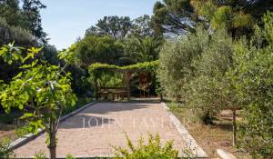 Saisonvermietungen Eigentum Saint-Tropez