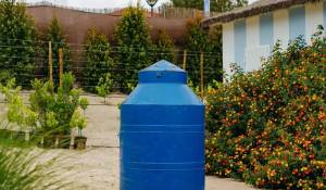 Saisonvermietungen Haus Carvalhal