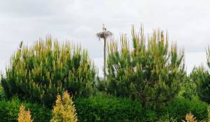 Saisonvermietungen Haus Carvalhal