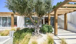 Saisonvermietungen Haus Carvalhal