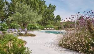 Saisonvermietungen Haus Carvalhal