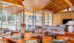 Saisonvermietungen Haus Carvalhal