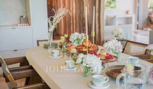 Saisonvermietungen Haus Mougins