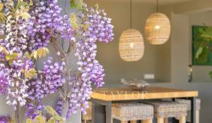 Saisonvermietungen Haus Valbonne