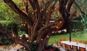 Saisonvermietungen Villa Antibes