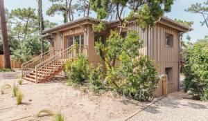 Saisonvermietungen Villa Cap-Ferret