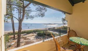 Saisonvermietungen Villa Cap-Ferret