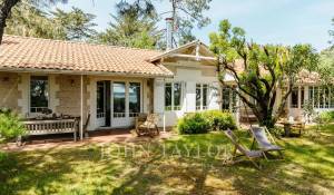Saisonvermietungen Villa Cap-Ferret