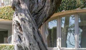 Saisonvermietungen Villa La Colle-sur-Loup