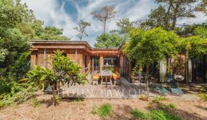 Saisonvermietungen Villa Lège-Cap-Ferret