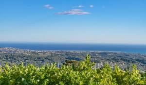 Saisonvermietungen Villa Vence