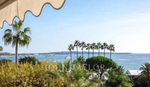 Saisonvermietungen Wohnung Cannes