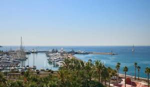 Saisonvermietungen Wohnung Cannes