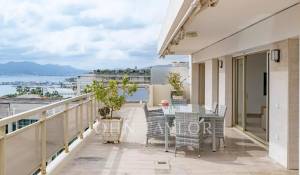 Saisonvermietungen Wohnung Cannes