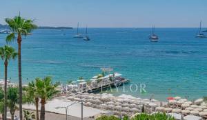 Saisonvermietungen Wohnung Cannes