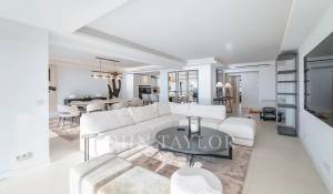 Saisonvermietungen Wohnung Cannes