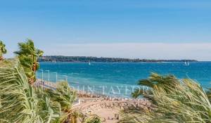 Saisonvermietungen Wohnung Cannes
