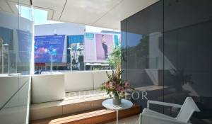 Saisonvermietungen Wohnung Cannes