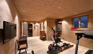 Saisonvermietungen Wohnung Saanen