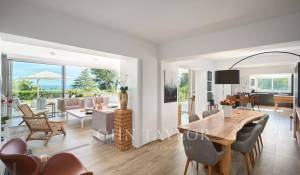 Veranstaltung Eigentum Cannes