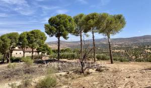 Verkauf Anwesen Marrakech