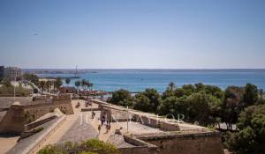 Verkauf Anwesen Palma de Mallorca
