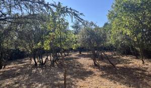 Verkauf Bauland Cabrières-d'Avignon