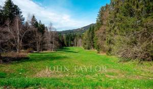 Verkauf Bauland Les Paccots