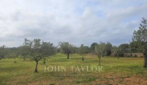 Verkauf Bauland Llucmajor