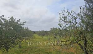 Verkauf Bauland Llucmajor