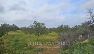 Verkauf Bauland Llucmajor