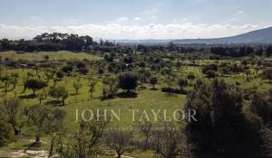 Verkauf Bauland Moscari